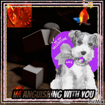 Dog With Valentine Card Saying Be My Valentine GIF