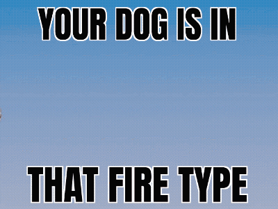 Dog With Wings Saying Your Dog Is In That Fire GIF