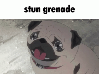 Dog Witnessing Grenade Flashbang GIF
