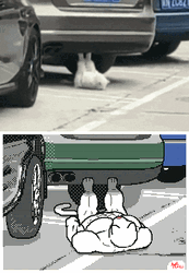 Dog Work Out Car's Rear Bumper GIF