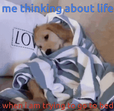 Dog Wrapped In Blanket Thinking About Life GIF