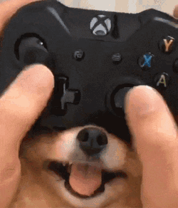 Dog Xbox Controller GIF