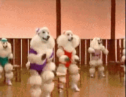 Dog Zumba Dancing GIF