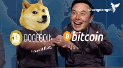 Doge And Elon Musk GIF