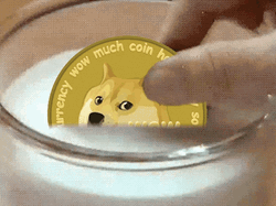 Doge Coin Crypto Currency GIF