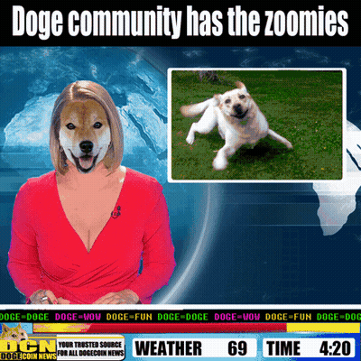 Doge Community Zoomies GIF