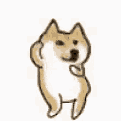 Doge Dace2 GIF