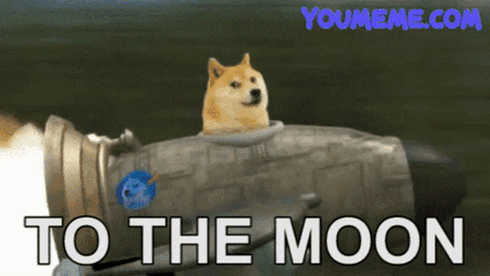 Doge Dogs GIF