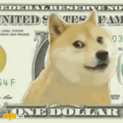 Doge In One Dollar GIF