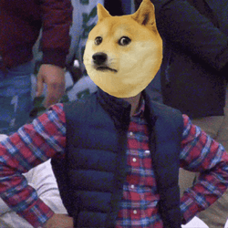 Doge Meme Disappointment Shiba Inu GIF
