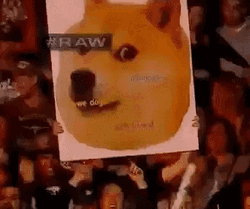 Doge Meme Poster GIF