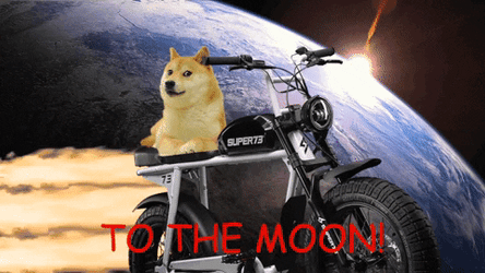 Doge Meme To The Moon GIF