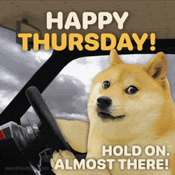 Doge Own The Doge GIF