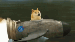 Doge Riding Spaceship GIF