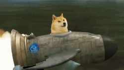 Doge Rocket Meme GIF