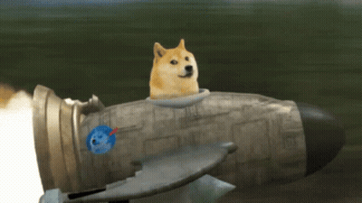 Doge Sitting On Rocket With Globe GIF