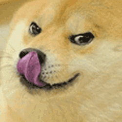 Doge Sticking Tongue Out GIF