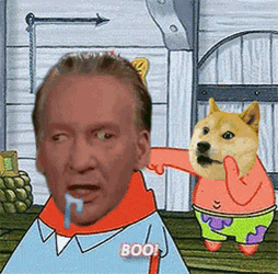 Doge To The Moon Dogecoin GIF