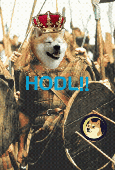 Doge Wearing Crown Holding Shield Saying HODL GIF