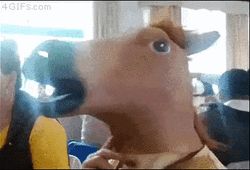 Doge Wearing Horse Mask GIF