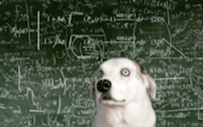 Doggo Doing The Math Meme GIF