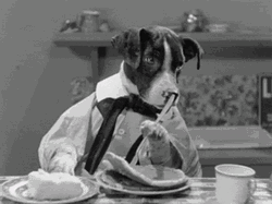 Doggo Eating Pancake GIF