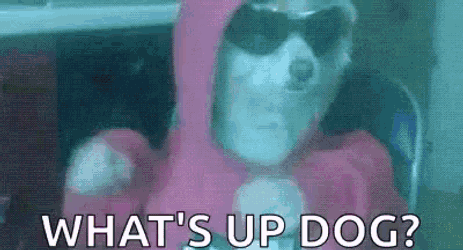 Dogs House GIF