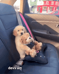 Dogs Hugging Teddy Bear GIF