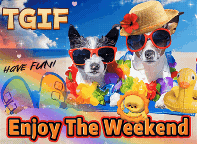 Dogs On Beach In Sunglasses Hats Saying Enjoy Weekend GIF