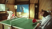 Dogs Playing Ping Pong GIF