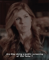Doing Public Screening Old Yeller GIF