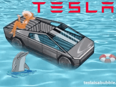 Dolphin And Tesla Car In Water GIF