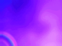 Dolphin Animation Happy Pride Month GIF