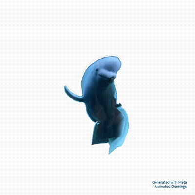 Dolphin GIF