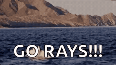 Dolphin Jumping Out Of Water Saying Go Rays GIF
