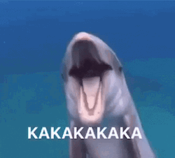 Dolphin Kakakaka Laugh GIF
