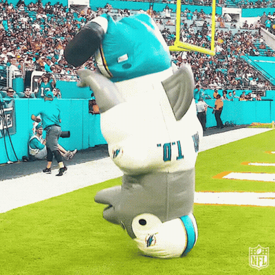 Dolphin Mascot On Football Field GIF