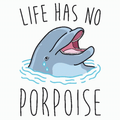 Dolphin Saying Life Has No Porpoise GIF