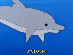 Dolphin Squeaking And Swimming Together GIF