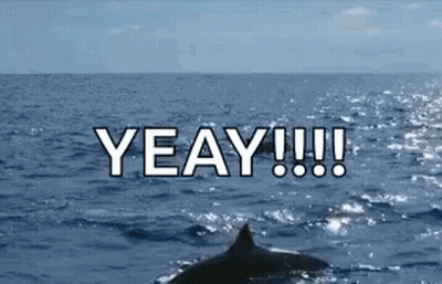 Dolphin Swimming In Ocean Saying Yeay GIF