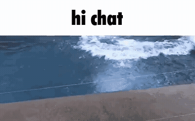 Dolphin Swimming In Ocean With Hi Chat GIF