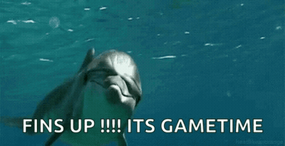 Dolphin Swimming With Fins Up Its Gametime GIF