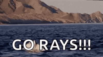 Dolphin Swimming With Go Rays GIF