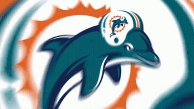 Dolphin Wearing Helmet With Dolphin Logo GIF