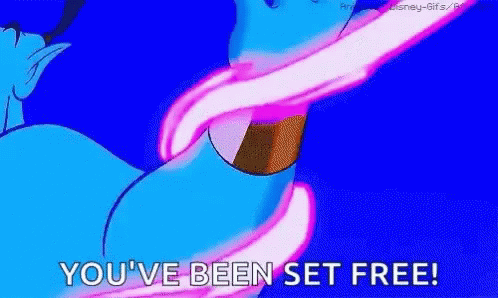 Dolphin With You Been Set Free GIF