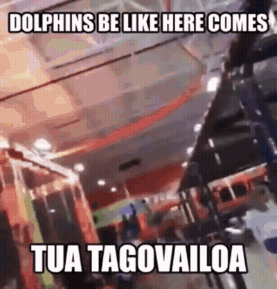 Dolphins Be Like Here Comes Tua Tagovailoa Meme GIF
