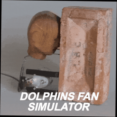 Dolphins Fan Simulator With Brick And Wood GIF