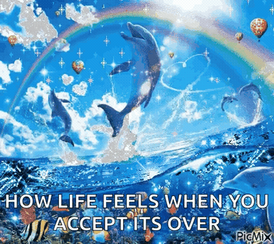 Dolphins Jumping Out Of Water How Life Feels When You Accept It GIF
