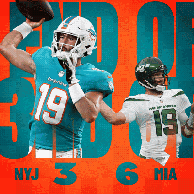 Dolphins Player Number 19 GIF