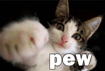 Domestic Short Haired Cat Pew Pew GIF